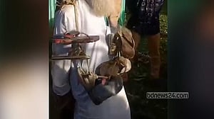 Elderly freedom fighter tied to tree, garlanded with shoes and handed over to police