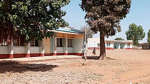 Kidnapped Nigerian schoolgirls have been released, official says