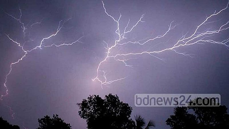 Lightning strikes kill five farmers working in haors of Sunamganj, Habiganj, trader in Noakhali