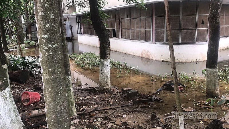 Survey finds Yunus’s family home among 92 mosquito breeding sites in Chattogram