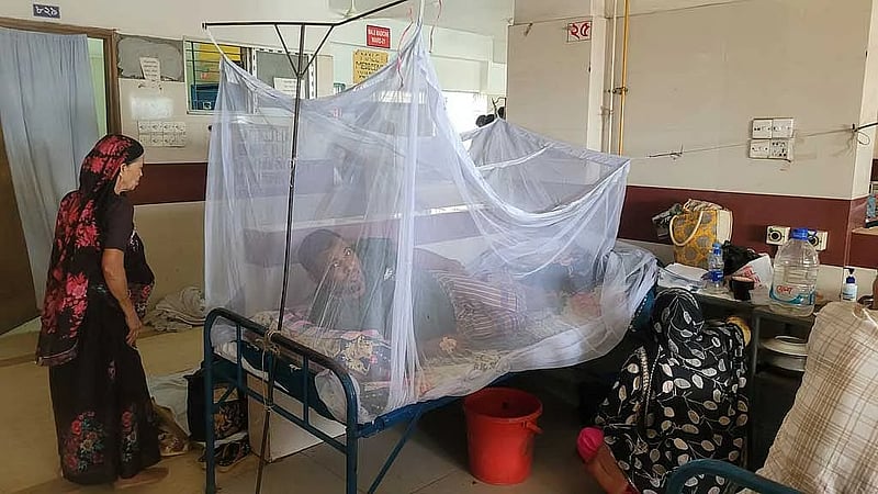 Two more die, 723 hospitalised with dengue fever