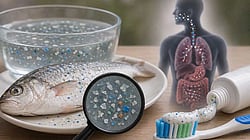 Microplastics are creeping into our bodies. How much exposure can we withstand?