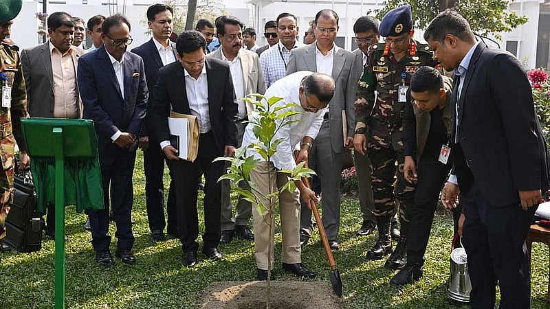 Government goes green, targets planting 70mn tree saplings a year