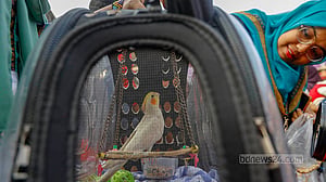 Pet Carnival at DU