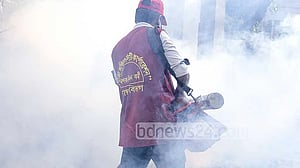 Higher dengue infections, Aedes breeding sites raise risks in five divisions: state minister