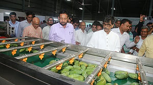 Government commissions 'one-stop service' to ease agricultural exports