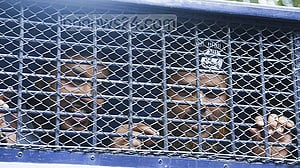 Holy Artisan convicts’ appeals remain stalled a decade later amid court backlog, funding woes