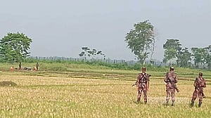 BGB on high alert as ‘BSF tries to push people’ across Benapole border