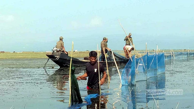 Biodiversity collapse at Tanguar Haor leaves locals and birds reeling