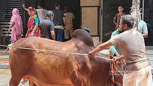 2nd day of Eid sacrifices in Dhaka