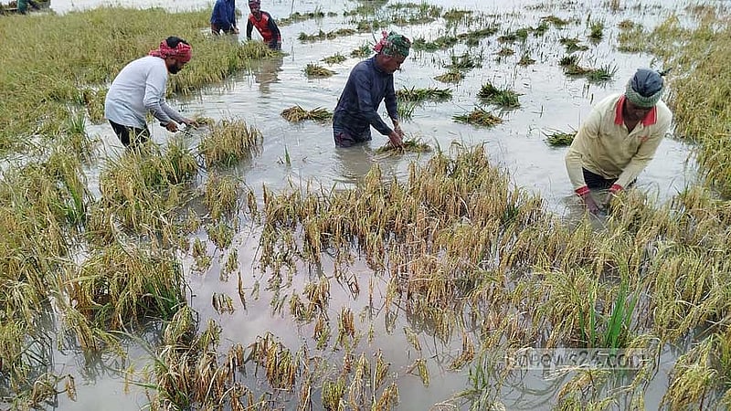 Government announces Tk 7,500 grant for flood affected farmers