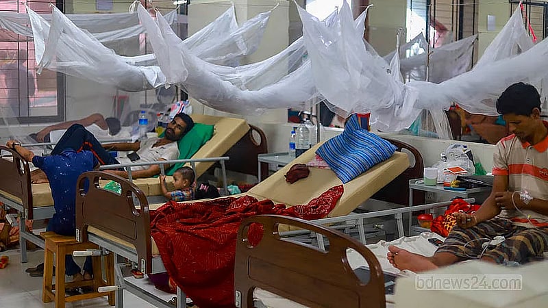 Two die, 1,056 hospitalised with dengue fever in a day