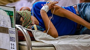 Five more deaths takes dengue toll past 100, 1,324 hospitalised
