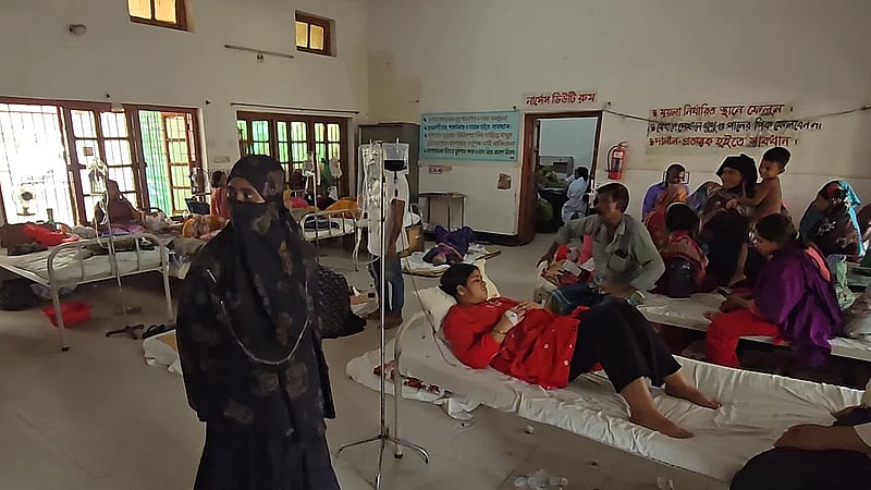 70-year-old woman dies of dengue in Faridpur, 20 admitted in 24 hours
