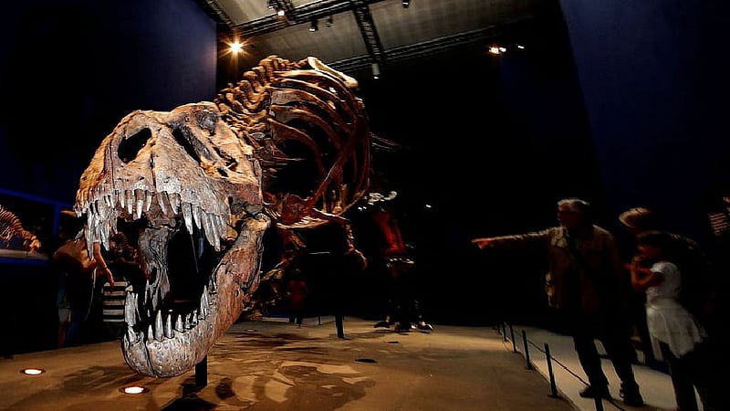 Dinosaur collagen used to create one-of-a-kind handbag