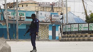 Somalia says it killed 29 al-Shabaab militants with international support