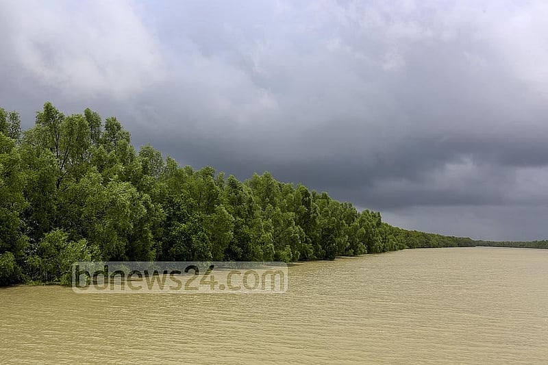 Cyclone Remal: Sundarbans to shield Bangladesh from another storm