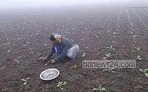 Bangladesh’s winter set to end with mild cold wave, fog, late-February storms