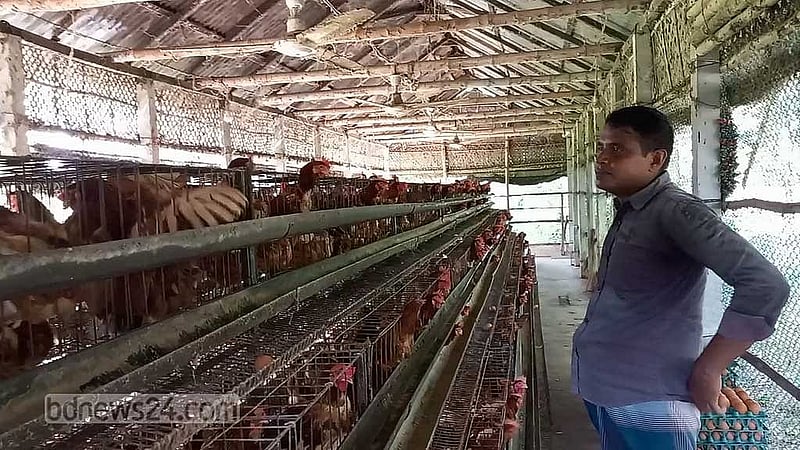 Bangladesh approves 20% power bill rebate for animal, poultry feed industry