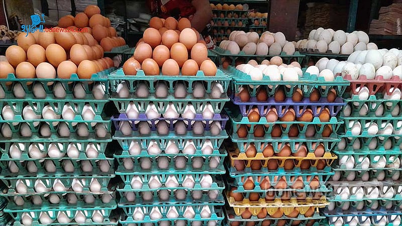 Saudi Arabia bans poultry and egg imports from Bangladesh, 39 countries over health risks