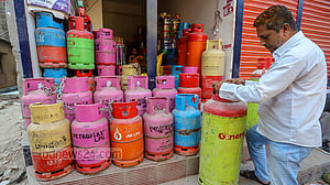 Govt to crack down on LPG retailers for 'engineering' shortages to hike prices