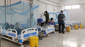 Bangladesh records over 96,000 dengue hospitalisations