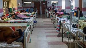 Bangladesh reports four more dengue deaths as fatalities cross 250 this year