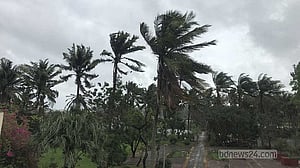 Deep depression makes landfall, bringing rain and gusty winds