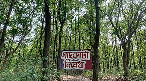 Bangladesh issues Forest and Tree Conservation Ordinance 2026 with provision of Tk 100,000 fine