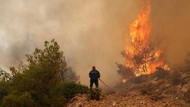 Wildfire rages outside Athens, residents urged to flee
