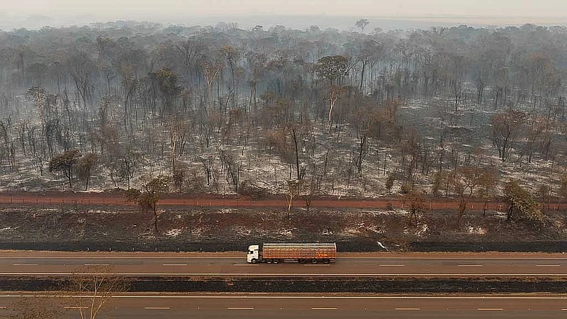 Wildfires affecting 30 cities in Brazil's Sao Paulo state, leave 2 dead