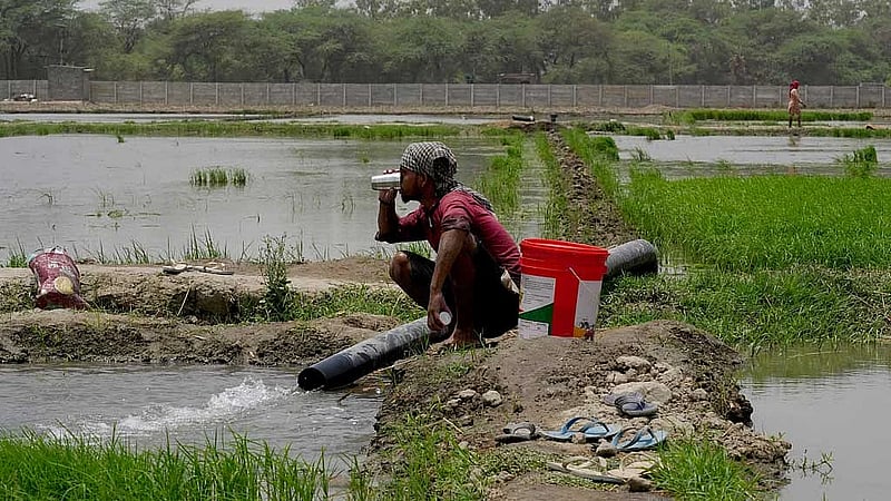 India's 'heat trap' cities make summers worse, says government official