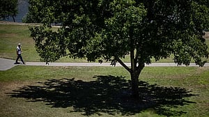 How extreme heat tests public health and safety