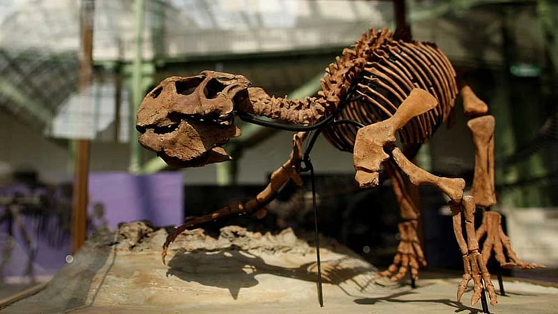 Chinese fossil reveals evolution of skin in feathered dinosaurs