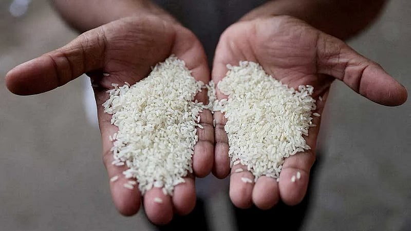 India’s 2025 rice exports surge to near record as curbs lifted