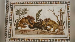 Bite marks reveal gladiator's fatal encounter with a lion in ancient Britain