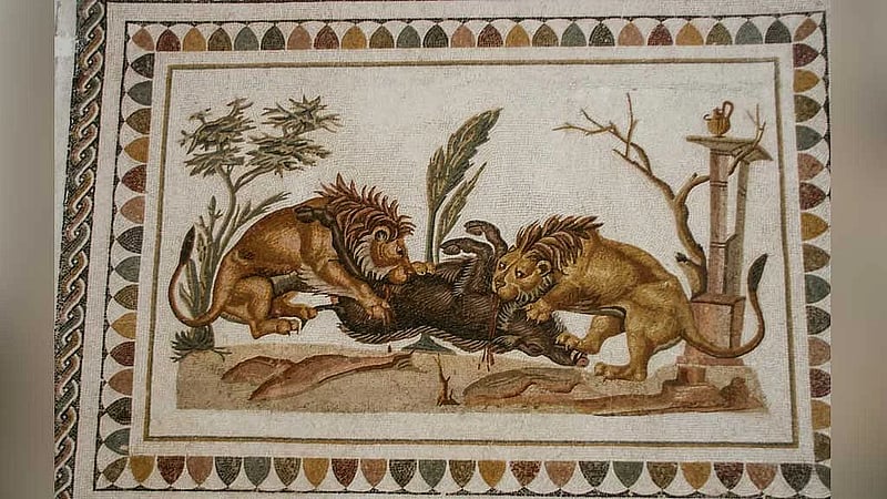 Bite marks reveal gladiator's fatal encounter with a lion in ancient Britain