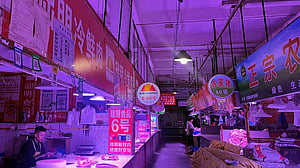 China's murky bankruptcies expose hazards for foreign investors