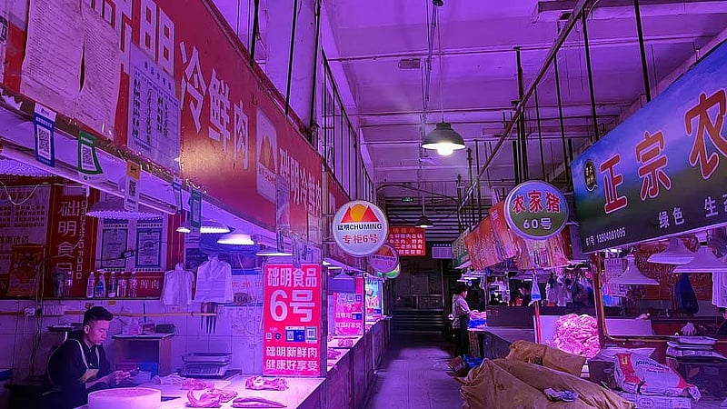 China's murky bankruptcies expose hazards for foreign investors