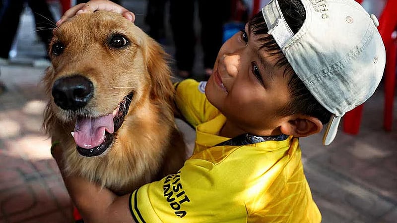 Thai search dogs go from sniffing to soothing at collapsed tower site
