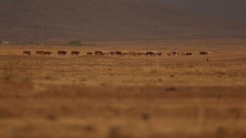 Northern Mexico farmers fight drought amid water dispute with the US