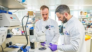 High UK visa costs deter international scientists and engineers