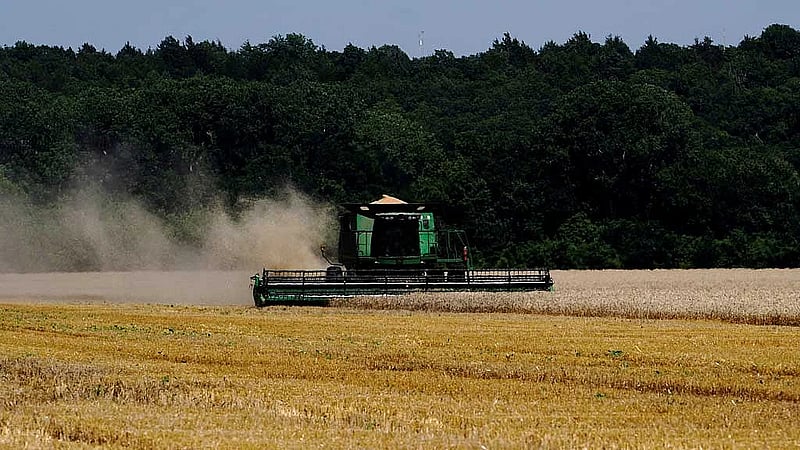 Black US farmers brace for impact amid tariffs turmoil