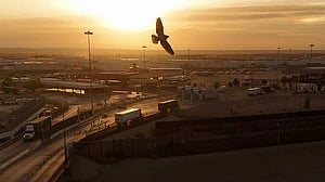 Mexico free trade with US may survive as Trump spares it from new tariffs, hits rivals