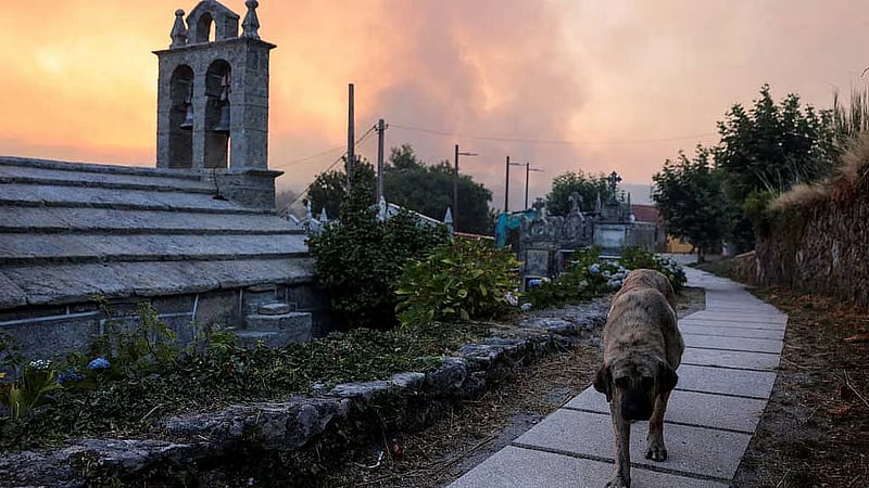 Spain battles 20 major wildfires amid scorching heat, deploys more troops