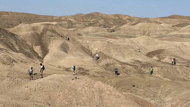 Ethiopian fossils reveal new species in human evolutionary lineage