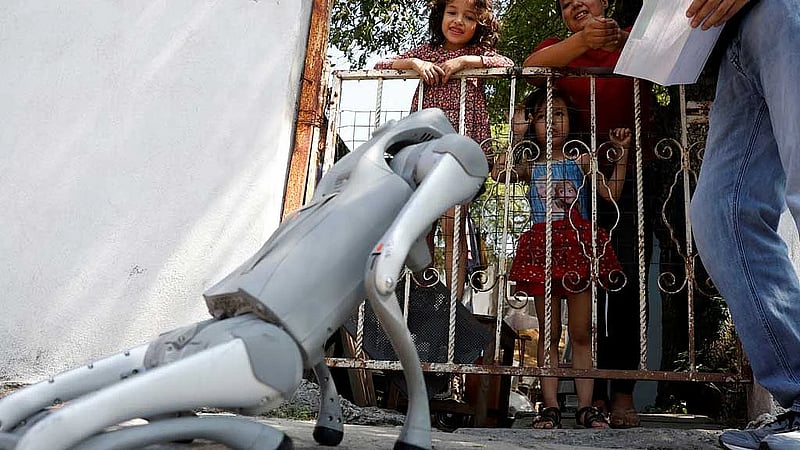 Robot dog in Mexico teaches animal kindness on the streets
