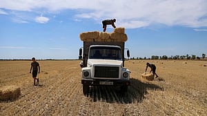Russian attacks on Ukrainian ports cause drop in food exports