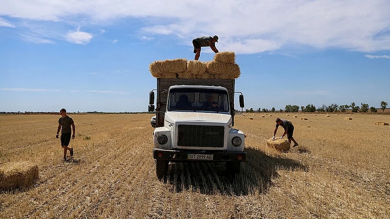 Russian attacks on Ukrainian ports cause drop in food exports