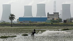 India has no immediate plans to add coal power capacity beyond 2035, official says